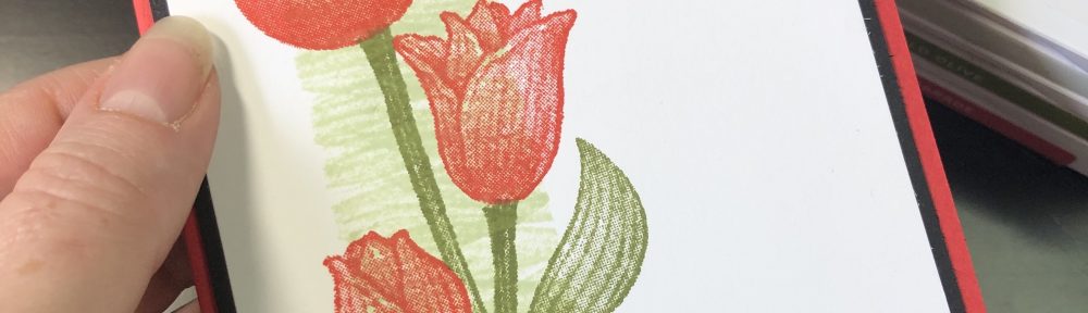 Timeless Tulips