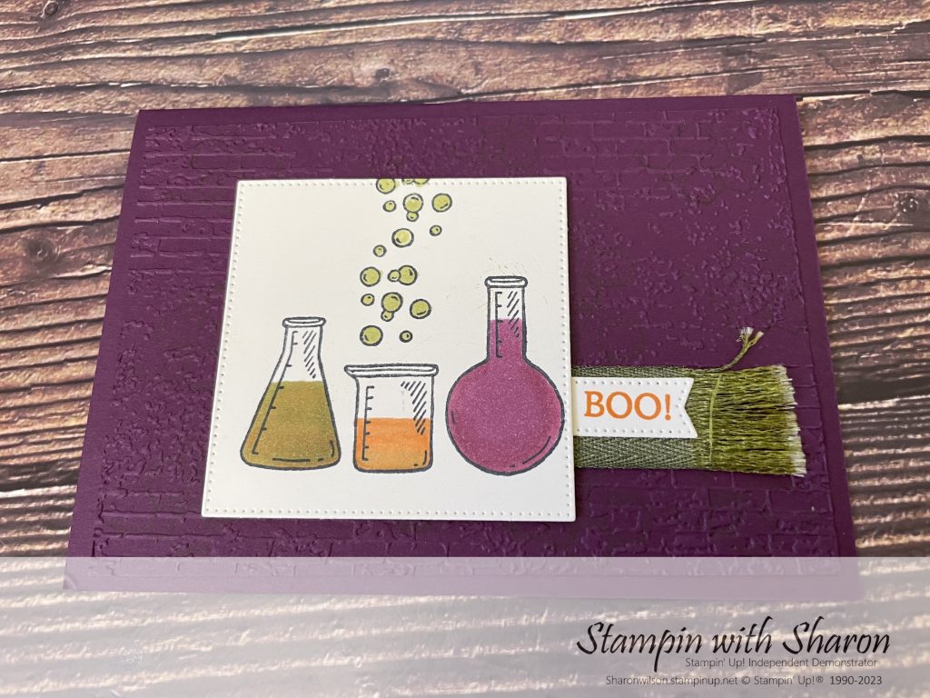 A colour challenge with halloween inspired colours, Blackberry Bliss, Old Olive & Pumpkin Pie. October Stampers Anonymous Blog Hop
